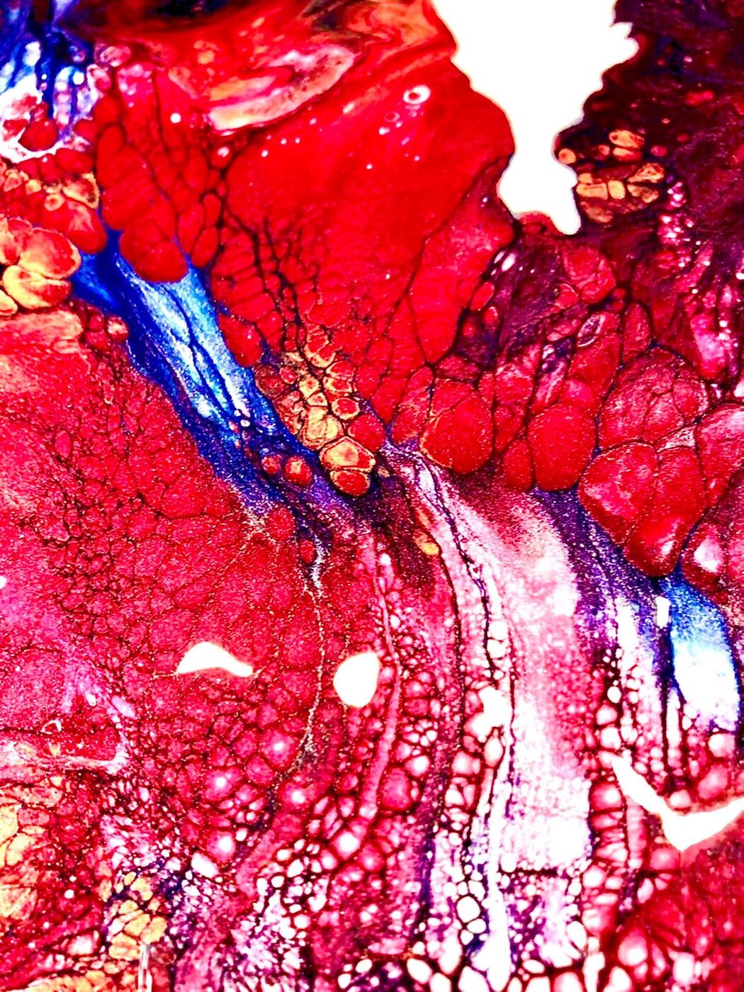 Crimson fluid pour with blue veins
